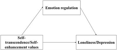 Values mediated emotional adjustment by emotion regulation: A longitudinal study among adolescents in China